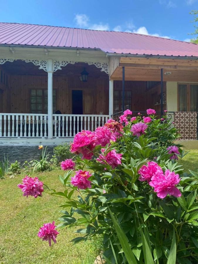 Guest House Lailashi Surmushi Ngoại thất bức ảnh