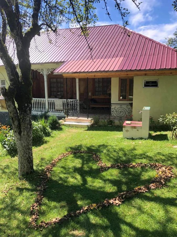 Guest House Lailashi Surmushi Ngoại thất bức ảnh