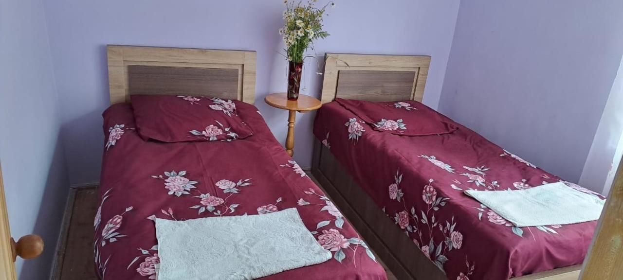 Guest House Lailashi Surmushi Ngoại thất bức ảnh
