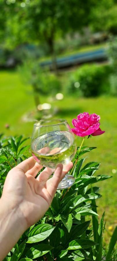 Guest House Lailashi Surmushi Ngoại thất bức ảnh