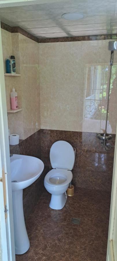Guest House Lailashi Surmushi Ngoại thất bức ảnh